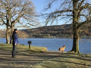 Dog Friendly Holiday Home in the Lake District