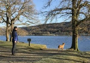 Dog Friendly Holiday Home in the Lake District
